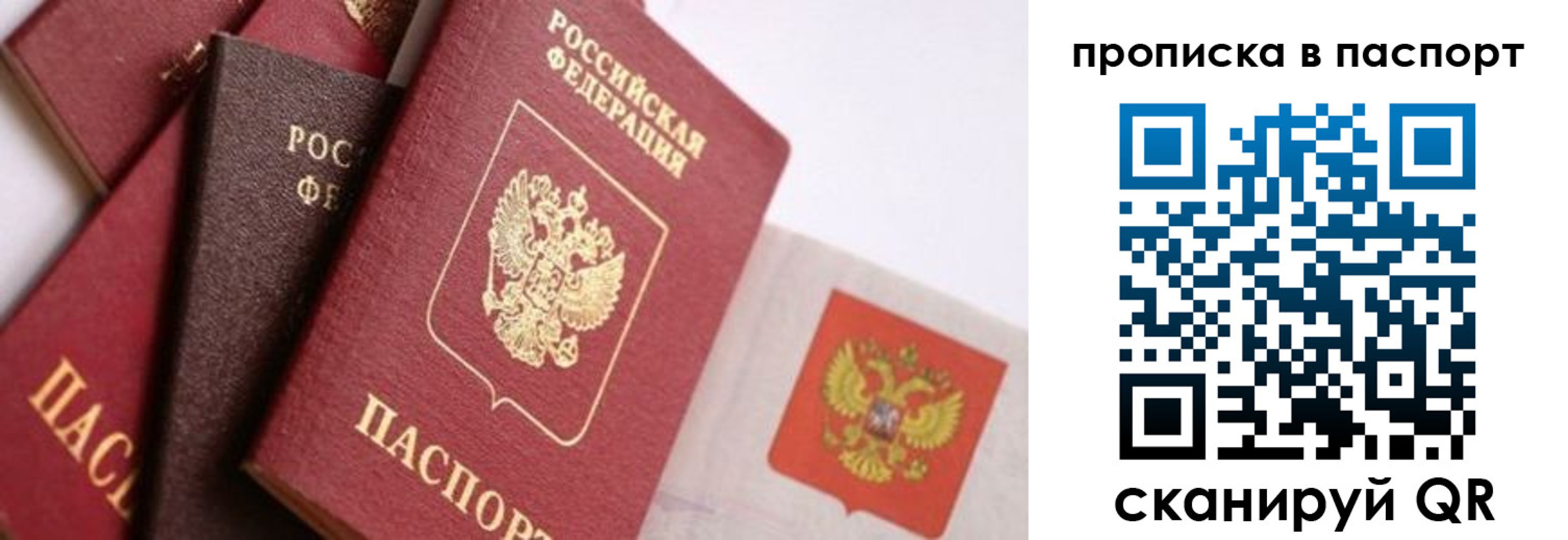 регистрация для школы в Волоколамске