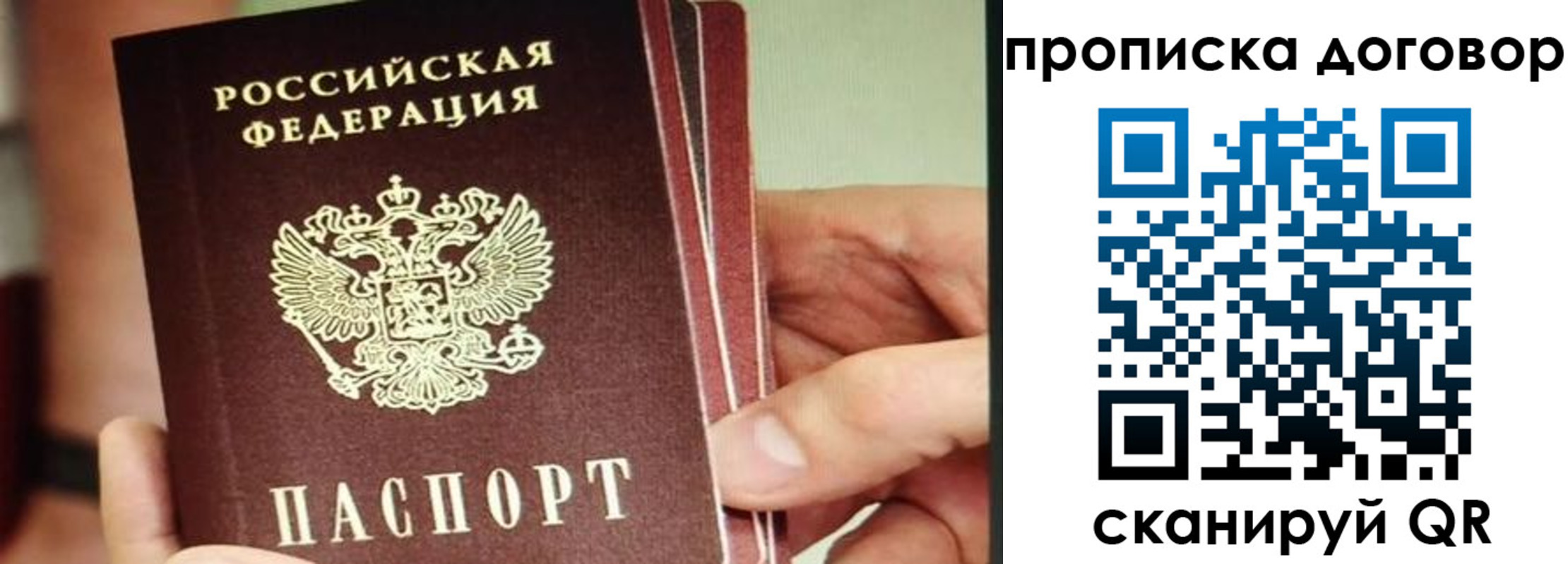 прописка в Волоколамске